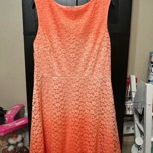 Sandra Darren Coral Lace Mini Dress